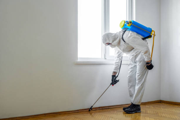 Reliable Kentwood, LA Pest Control Solutions